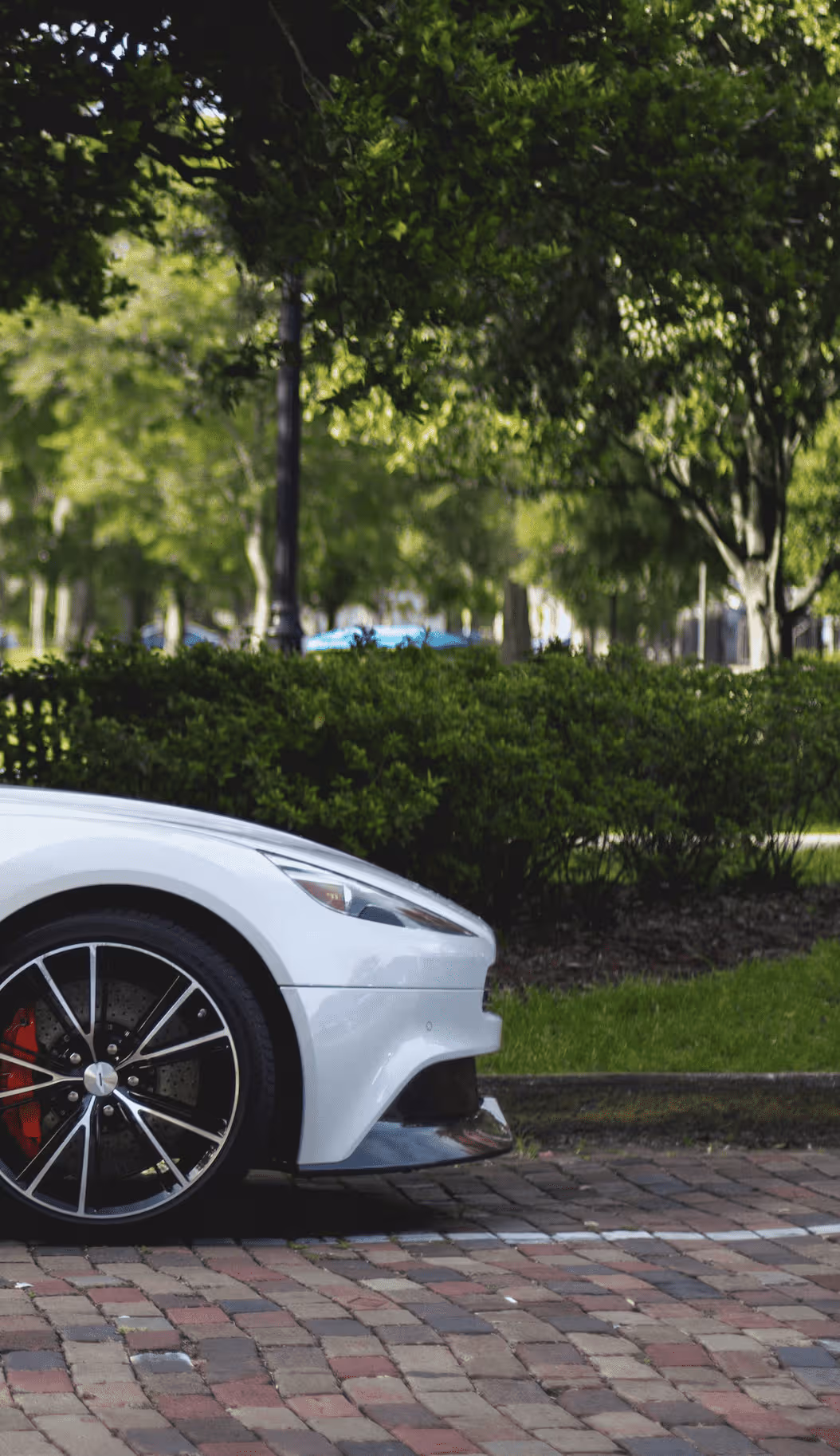 Car MOT Status Image